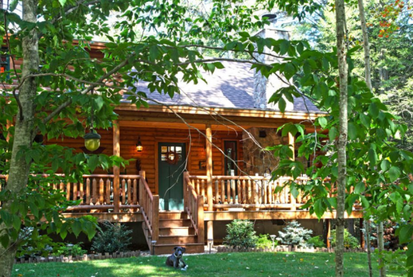 exterior view of log home surrounded by trees and with dog laying in front yard