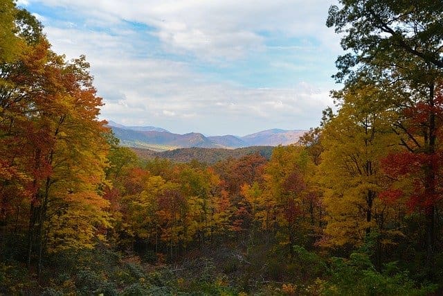7 Reasons to Build Your Log Cabin In Sevierville, TN